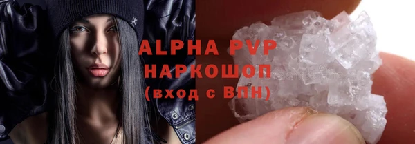 твердый Арсеньев