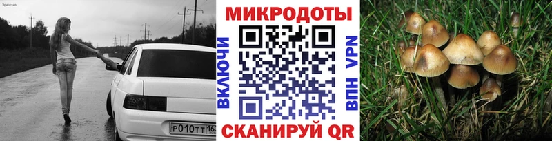 Псилоцибиновые грибы Psilocybine cubensis  shop наркотические препараты  Борзя  блэк спрут ТОР 